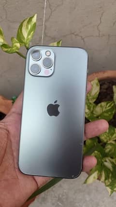 iPhone 12 Pro - PTA Approved - 128GB - Scratchless