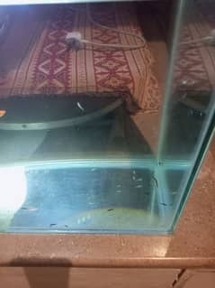 Aquarium for sale