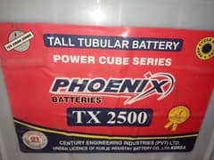 Phoenix Tx 2500 Tall Tubular Battery