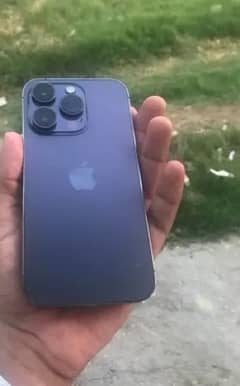 iphone 14 pro PTA approved