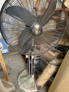 Fan