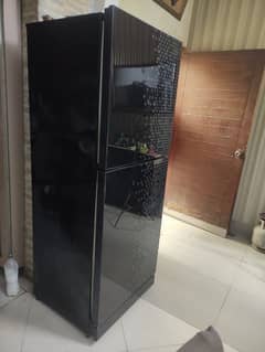 PEL Full Size  Glass Door Refrigerator