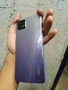 oppo