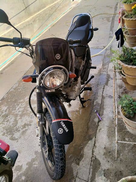 Yamaha YBR G 2023 New Condition 4