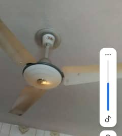 Ceiling fan for sale 03489207622 shewa