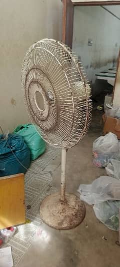 fan