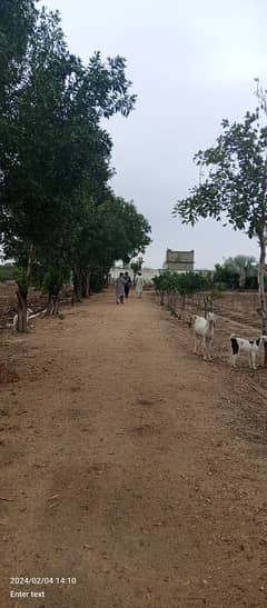 CATTLE FARM DAIRY FARM FARM HOUSE