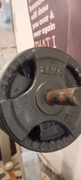 gym plates 3