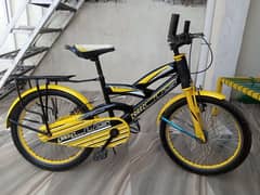 Bicycle cruiser