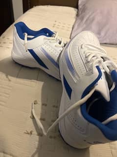 brand new cricket shoes 0