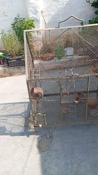 Parrots cage for sale in wah cantt 16 area. 2