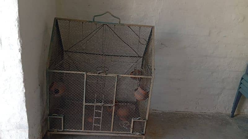 Parrots cage for sale in wah cantt 16 area. 4