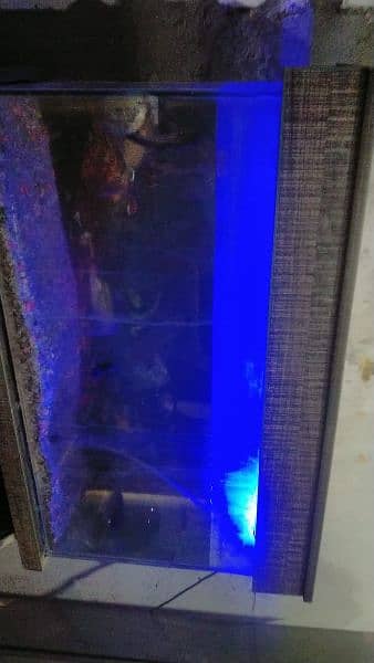 aquarium with truly new condition 0