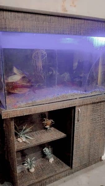 aquarium with truly new condition 3