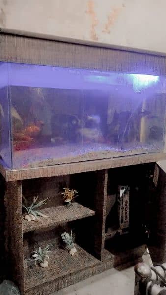 aquarium with truly new condition 4