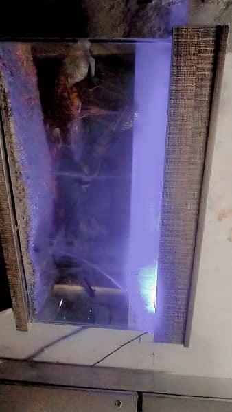 aquarium with truly new condition 5