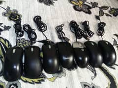 Mouse available for sell