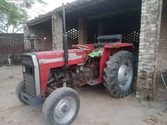 Massey 240