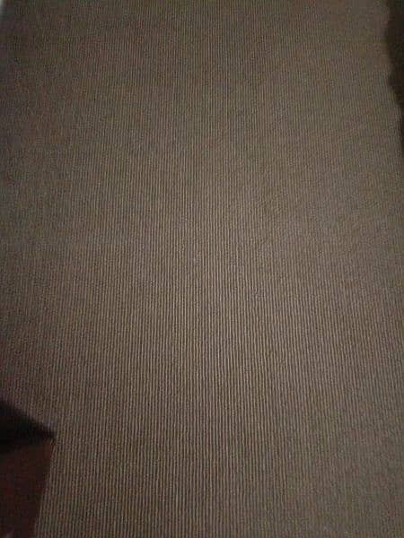 room carpet 1