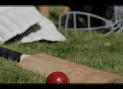 Cricket