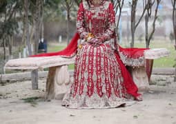 Bridal lhanga 0