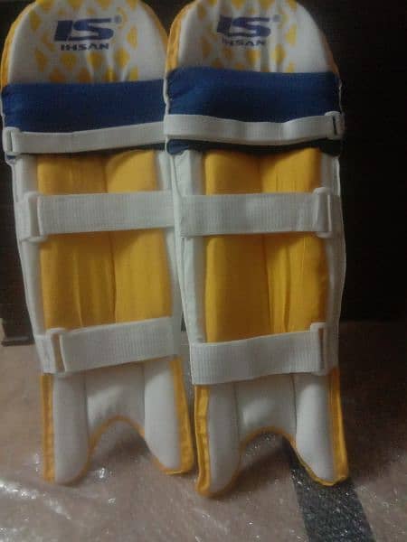 pads for Cricket 1