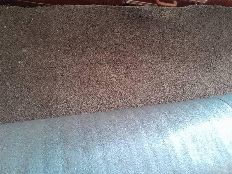 2 Month used Carpet for sell 0