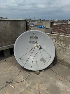 Dish antena for sale