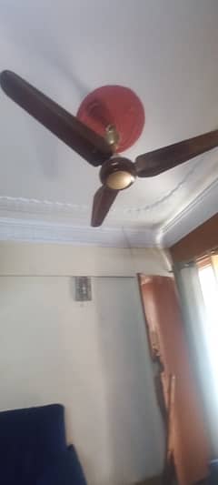 fan 4 sale