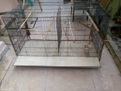 Budgies Cages