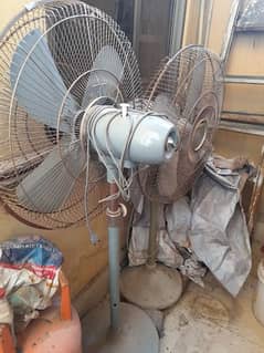 pedestal fan