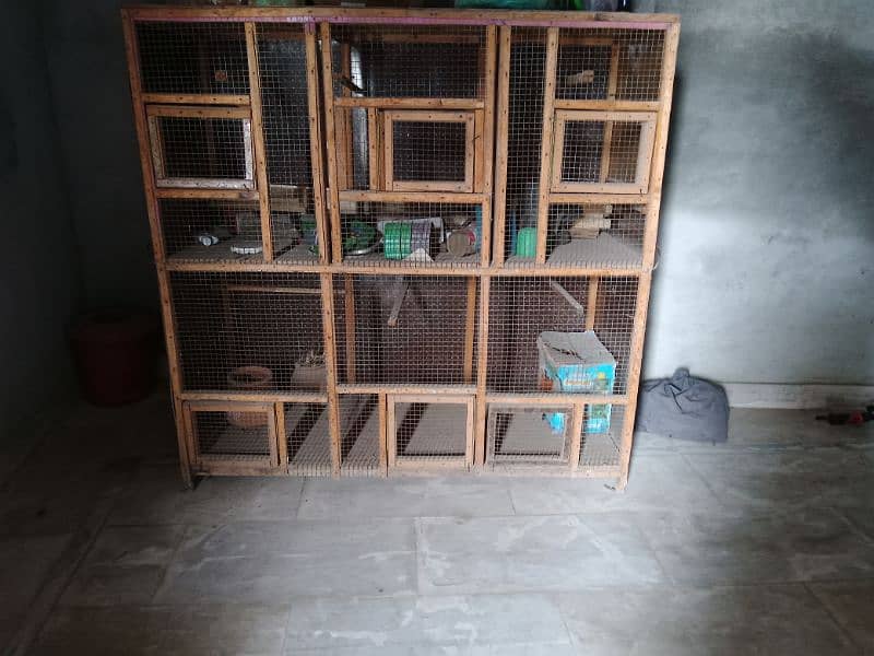 Birds and Hen cage 0