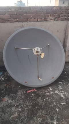 dish