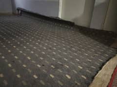 Carpet