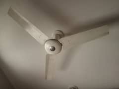 fan for sale 0