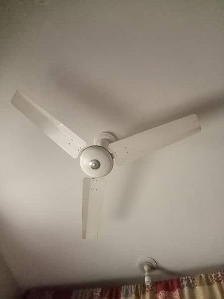 fan for sale 1