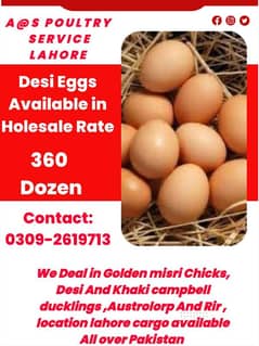 NoN fertile eggs Holesale Rate