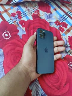 apple I phone 12 pro