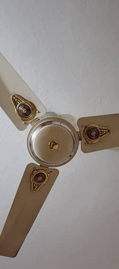 ceiling 4 fan Available