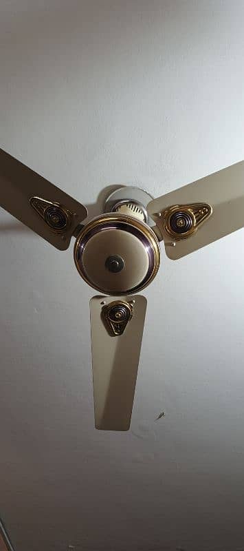 ceiling 4 fan Available 1