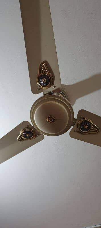 ceiling 4 fan Available 2