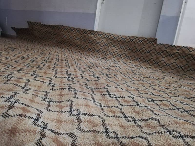 Carpet Brown Full Size With Form 10/10 Condition 0