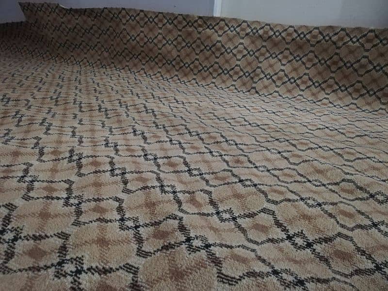 Carpet Brown Full Size With Form 10/10 Condition 1