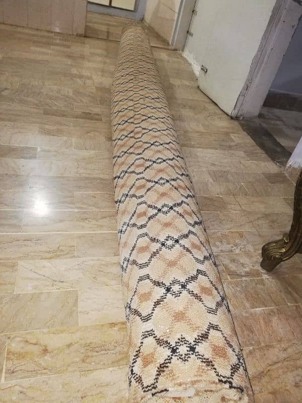 Carpet Brown Full Size With Form 10/10 Condition 4