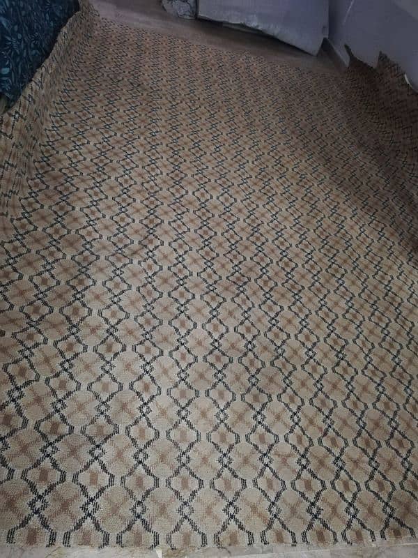 Carpet Brown Full Size With Form 10/10 Condition 8