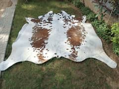 Cow hides natural cow hair on leather