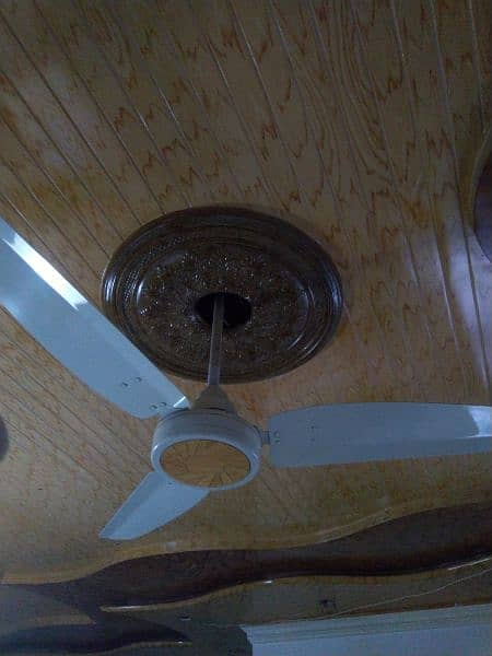 royal celling fan new model 1