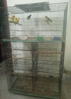 Love birds Breeding boxes