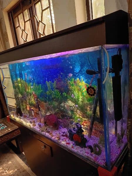 Full Size Aquarium full setup with fishes 2