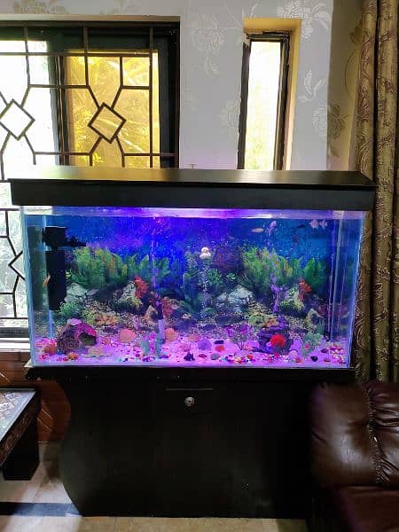 Full Size Aquarium full setup with fishes 0